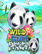 ดาวน์โหลด โจ๊ก เกอร์ 168ฝาก 15 รับ 100 918kiss ต้องลองเล่นแล้วล่ะ